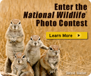 Enter the 2013 photo contest today!